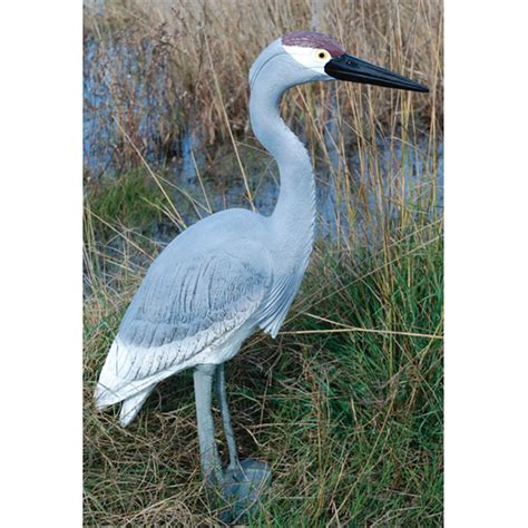 crane decoy